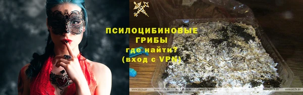 индика Балабаново