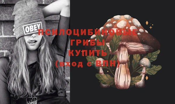 ПСИЛОЦИБИНОВЫЕ ГРИБЫ Баксан
