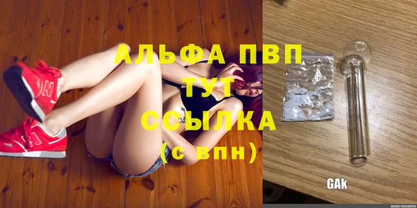 индика Балабаново