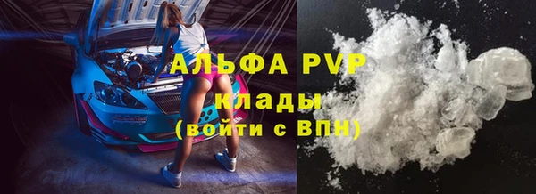 ПСИЛОЦИБИНОВЫЕ ГРИБЫ Баксан
