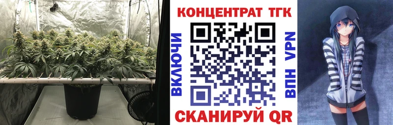 Дистиллят ТГК концентрат  дарнет шоп  Удачный 
